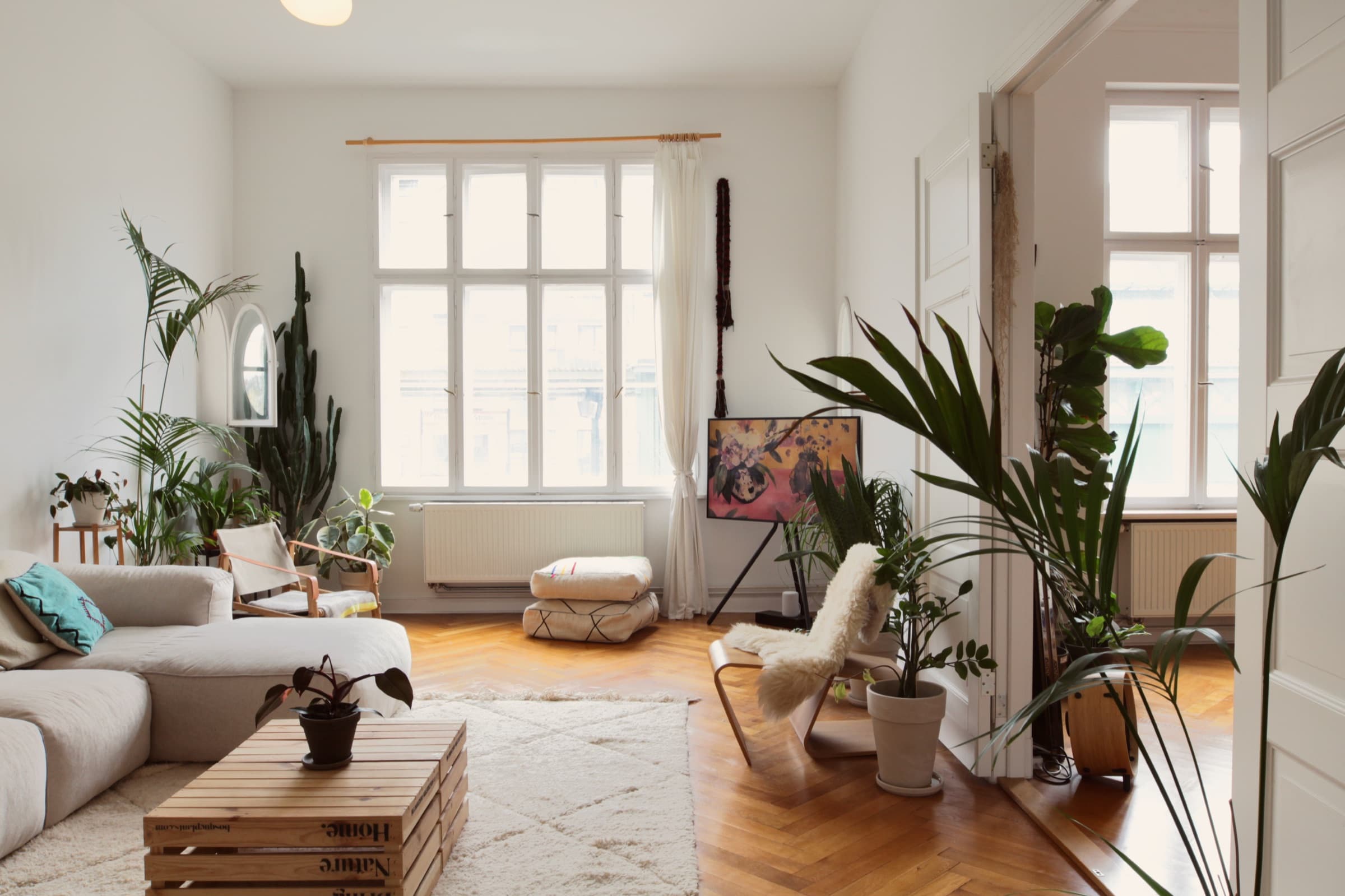 Lichtdurchflutetes Wohnzimmer mit hohen Decken, Sofa und Zimmerpflanzen in der Altbau Location Berlin, Prenzlauer Berg